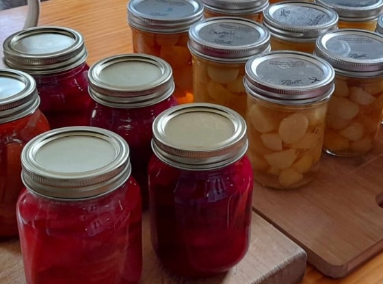 waterbath-preserving-beetroot