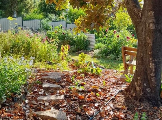 magnolia-garden-path