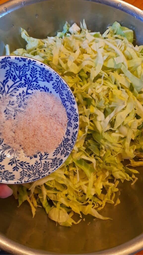 sauerkraut_salt_cabbage