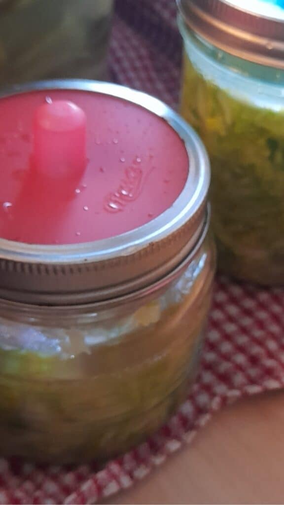 sauerkraut_jar