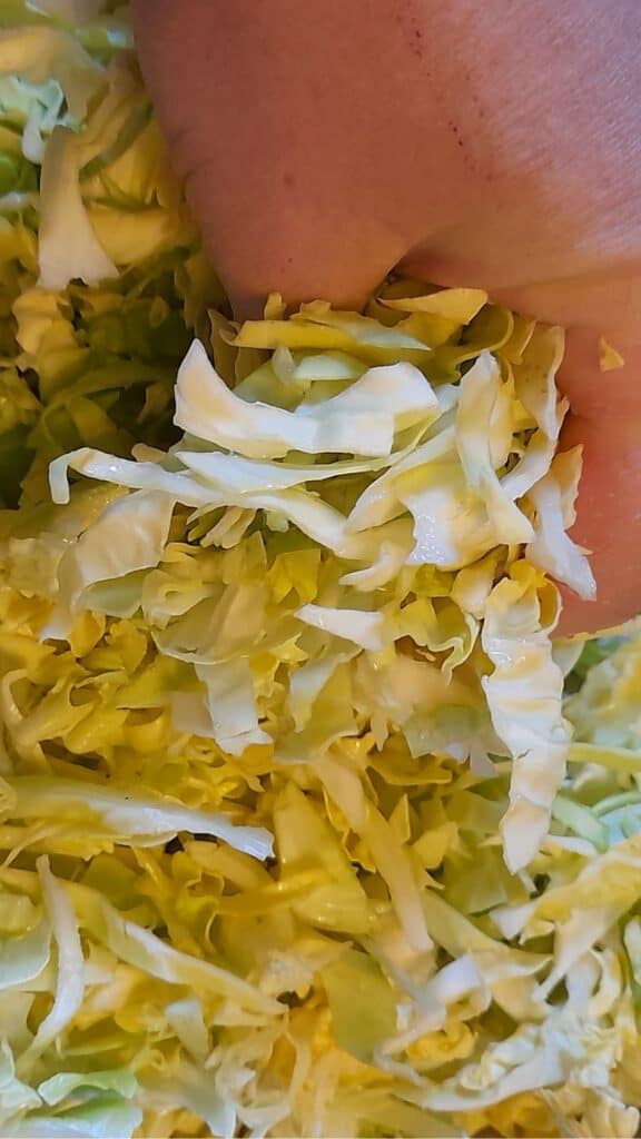 sauerkraut_massage_cabbage