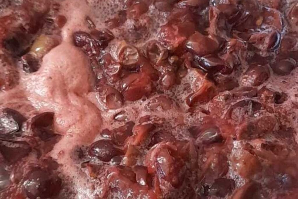 making_grape_juice