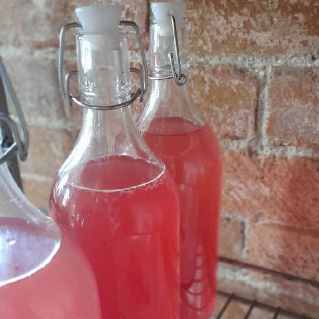 grape-kombucha