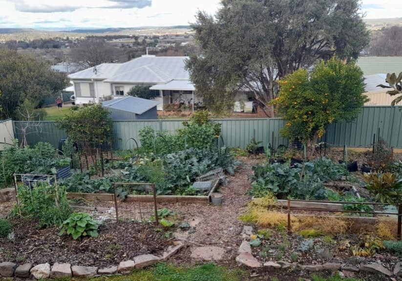 Growing a Self Sufficient Vegetable Garden self-sufficient-backyard