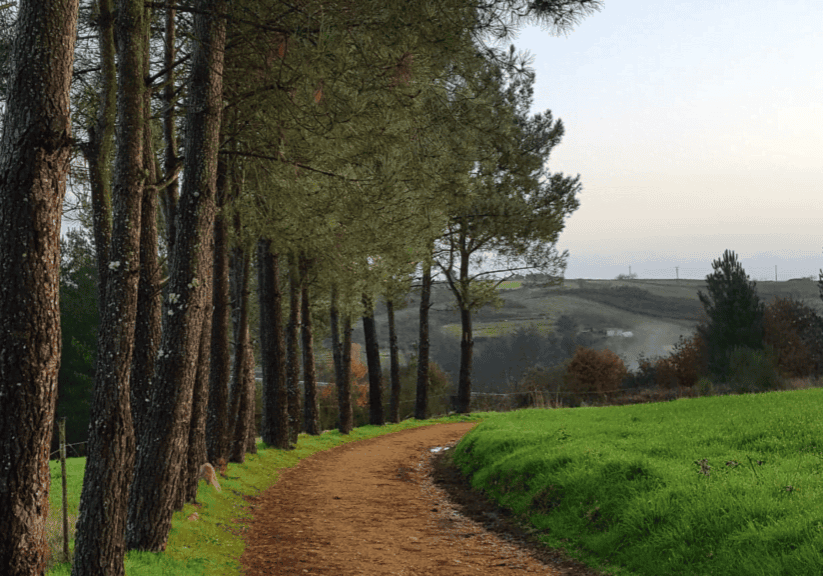 How We Simplified Our Life simplified-life