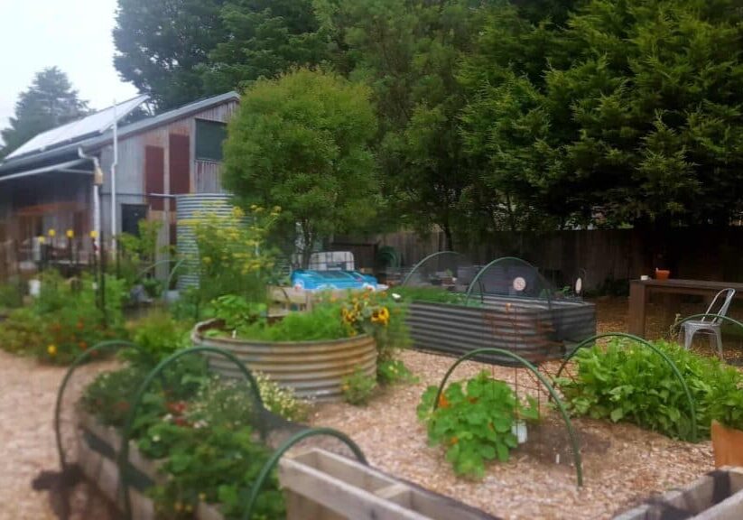 summer-garden-beds